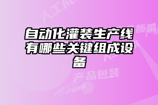 自動(dòng)化灌裝生產(chǎn)線(xiàn)有哪些關(guān)鍵組成設(shè)備