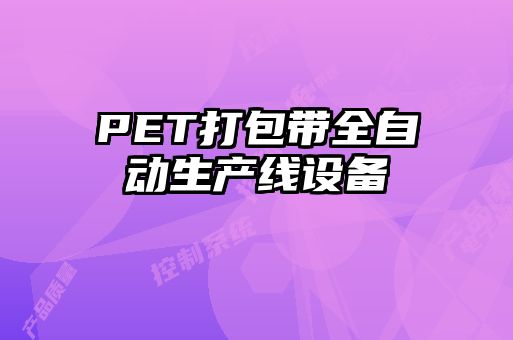PET打包帶全自動生產(chǎn)線設備