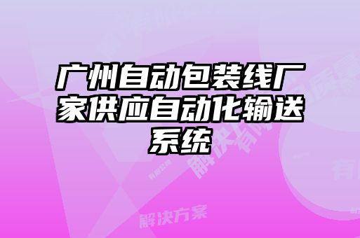 廣州自動包裝線廠家供應自動化輸送系統
