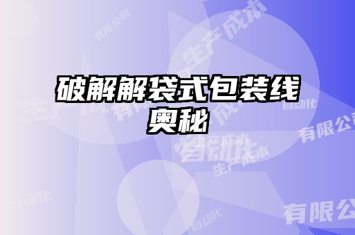 破解解袋式包裝線奧秘