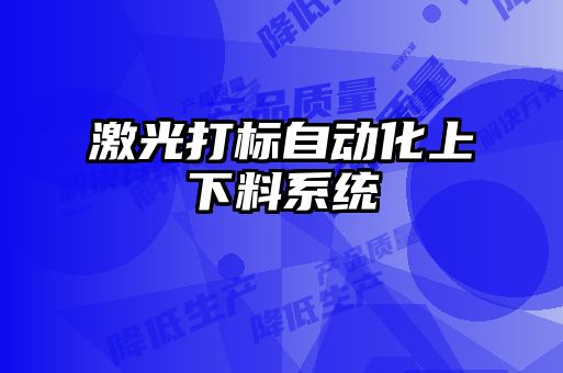 激光打標自動化上下料系統