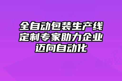 全自動包裝生產線定制專家助力企業邁向自動化