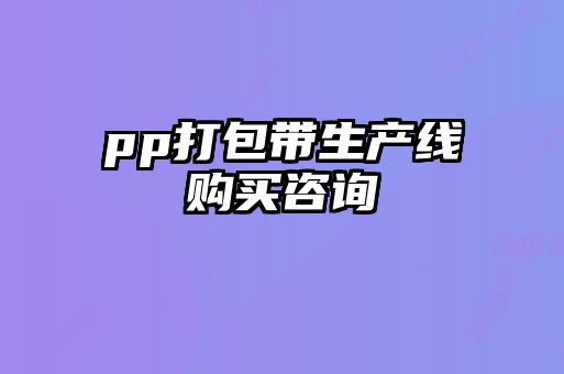 pp打包帶生產線購買咨詢